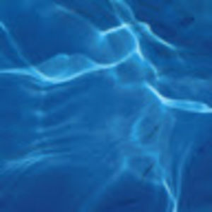 Meet your Posher, Ella